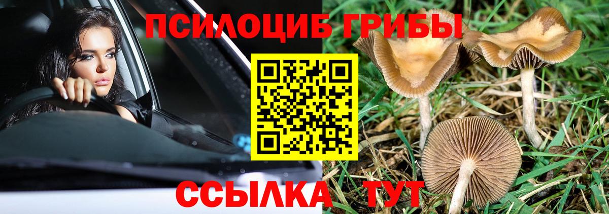 Белая Калитва  цена   Псилоцибиновые грибы Cubensis  Вход с VPN  Псилоцибиновые грибы ЛСД 
